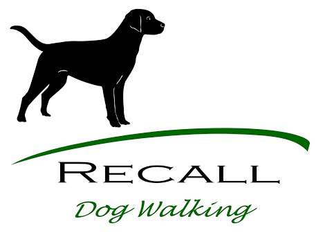 Recall dog walking photo